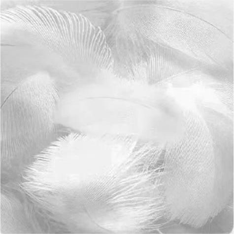 North American black walnut solid wood lounge chair(Can be customized)